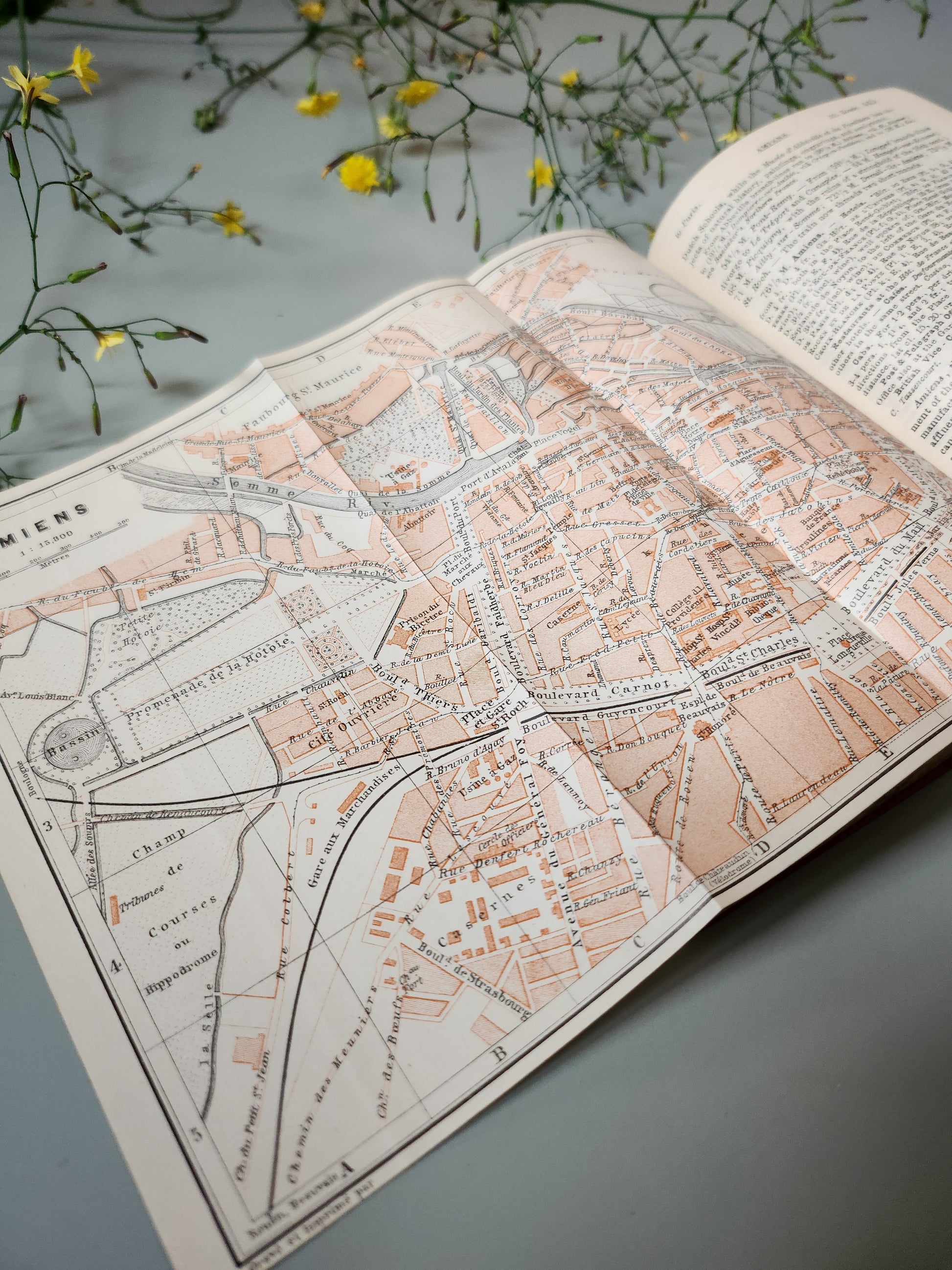 Guide Baedeker’s "Paris and its Environs"   Patine