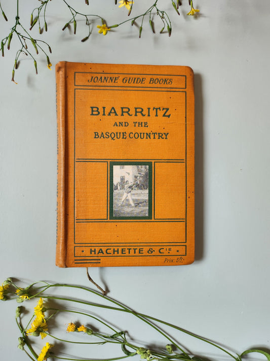 Guide Joanne "Biarritz and the Basque Country"   Patine