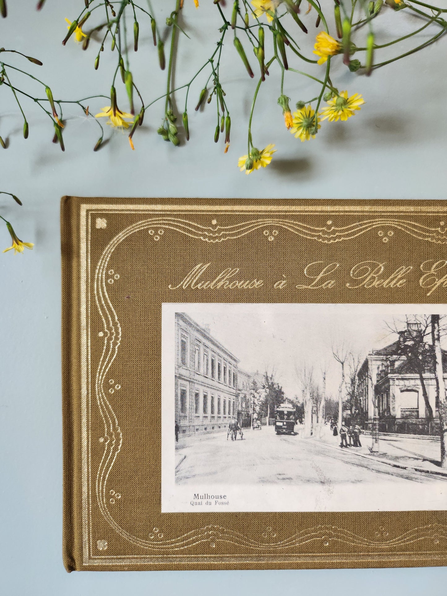 Livre "Mulhouse à la Belle Époque"   Patine