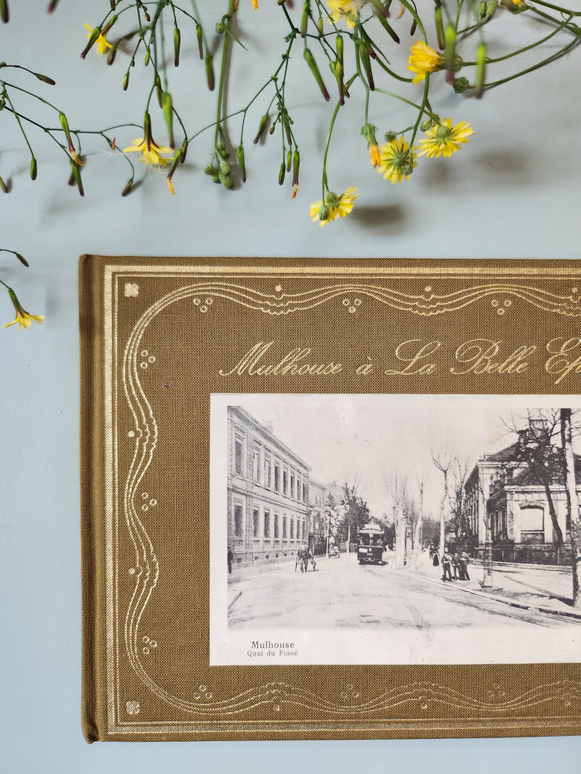 Livre "Mulhouse à la Belle Époque"   Patine