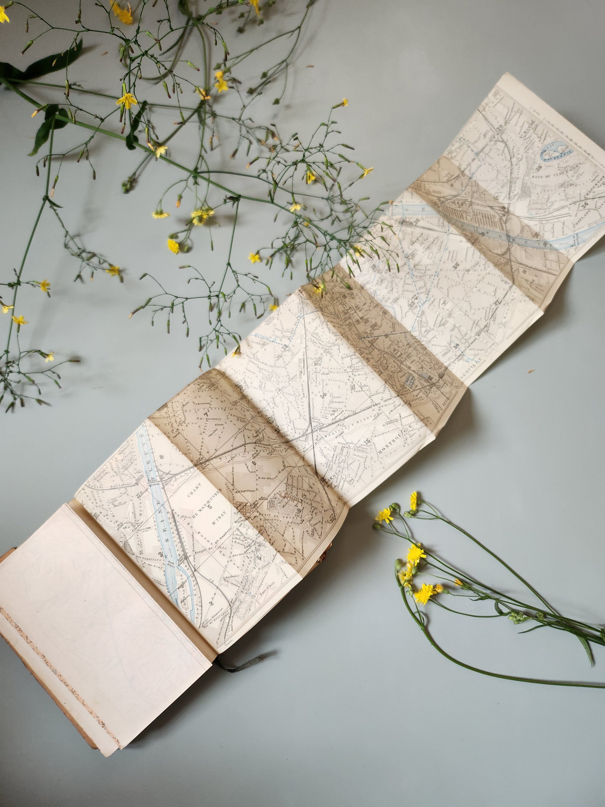 Guide Baedeker’s "Paris and its Environs"   Patine