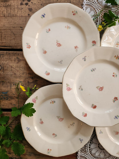 Assiette Sarreguemines fleurie lot de 5