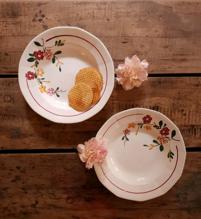 Assiettes creuses en céramique Sarreguemines lot de deux   Patine