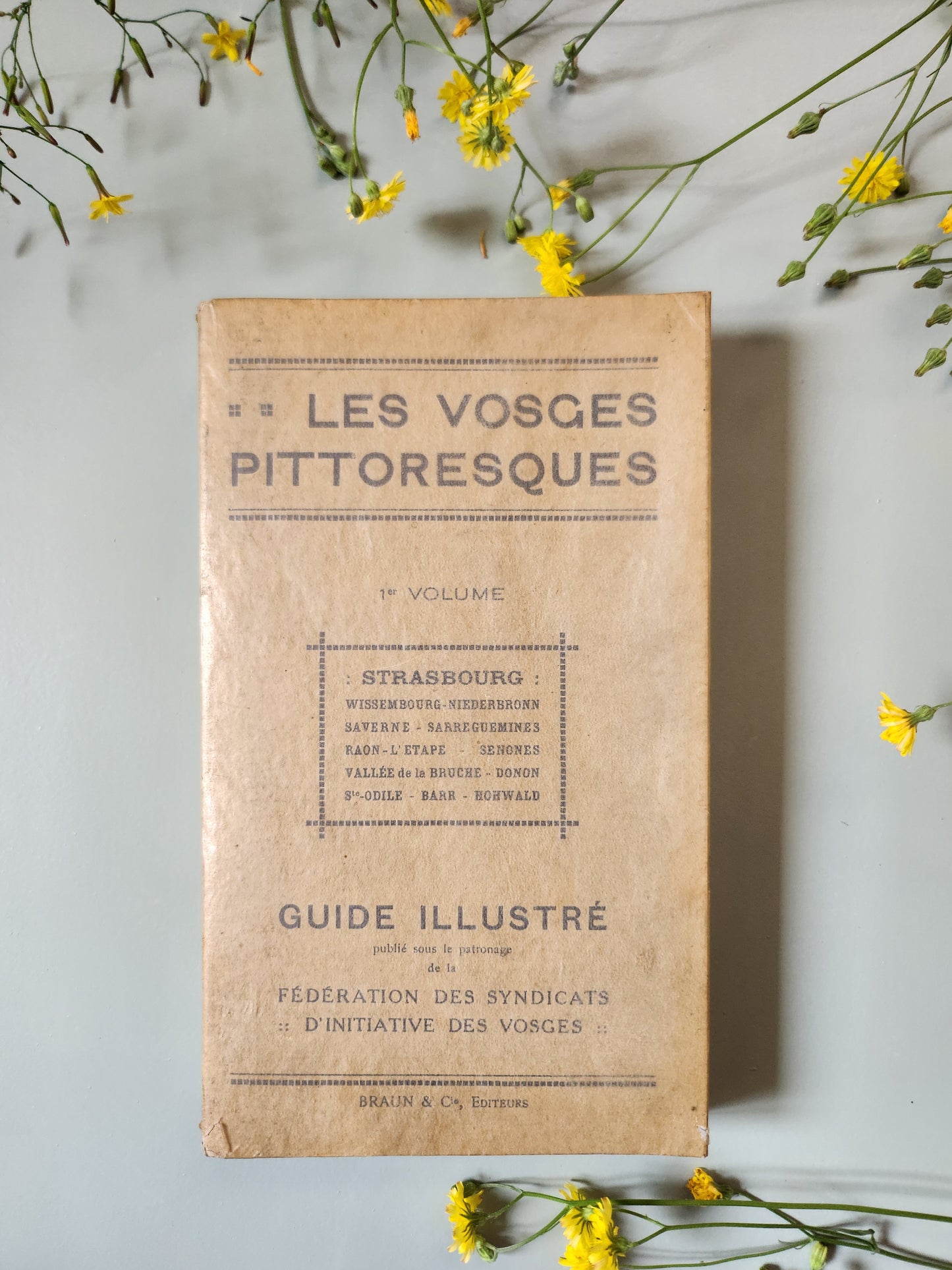 Guide "les vosges pittoresques"   Patine