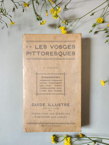 Guide "les vosges pittoresques"   Patine