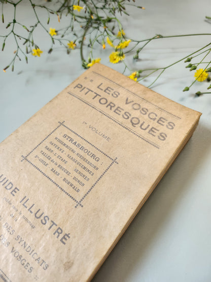 Guide "les vosges pittoresques"   Patine