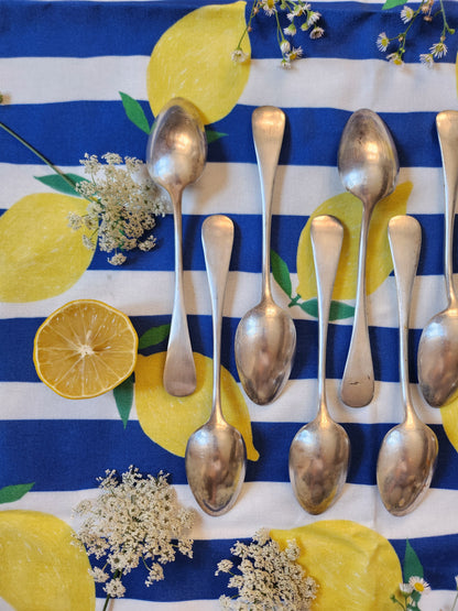 Cuillère à soupe en argent lot de 12   Patine