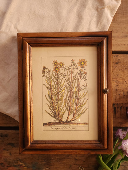 Boîte à clés avec gravure florale   Patine