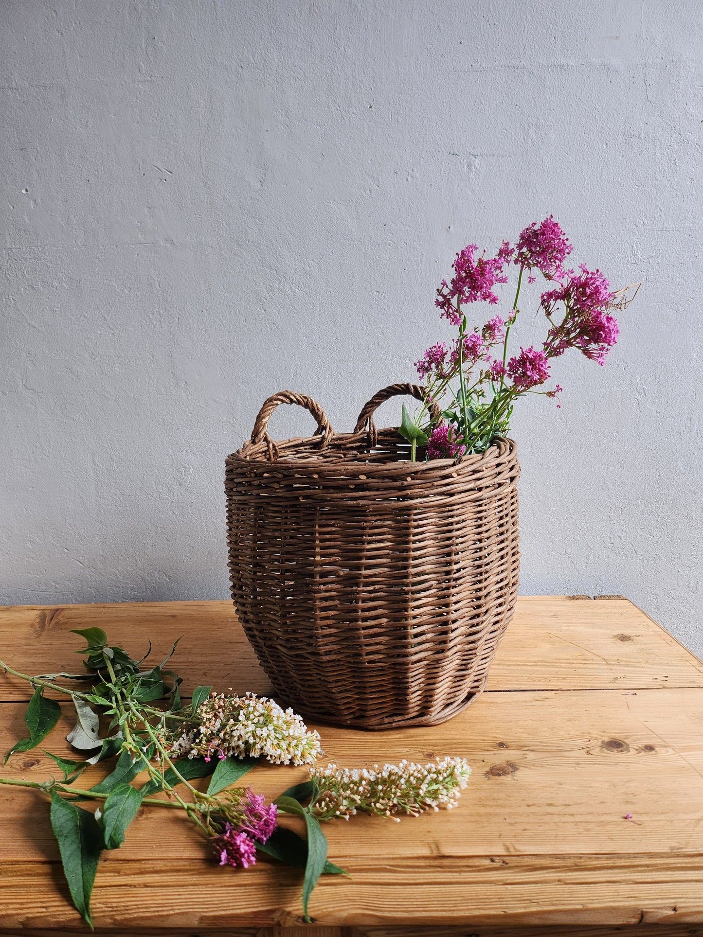 Panier en osier tressé   Patine