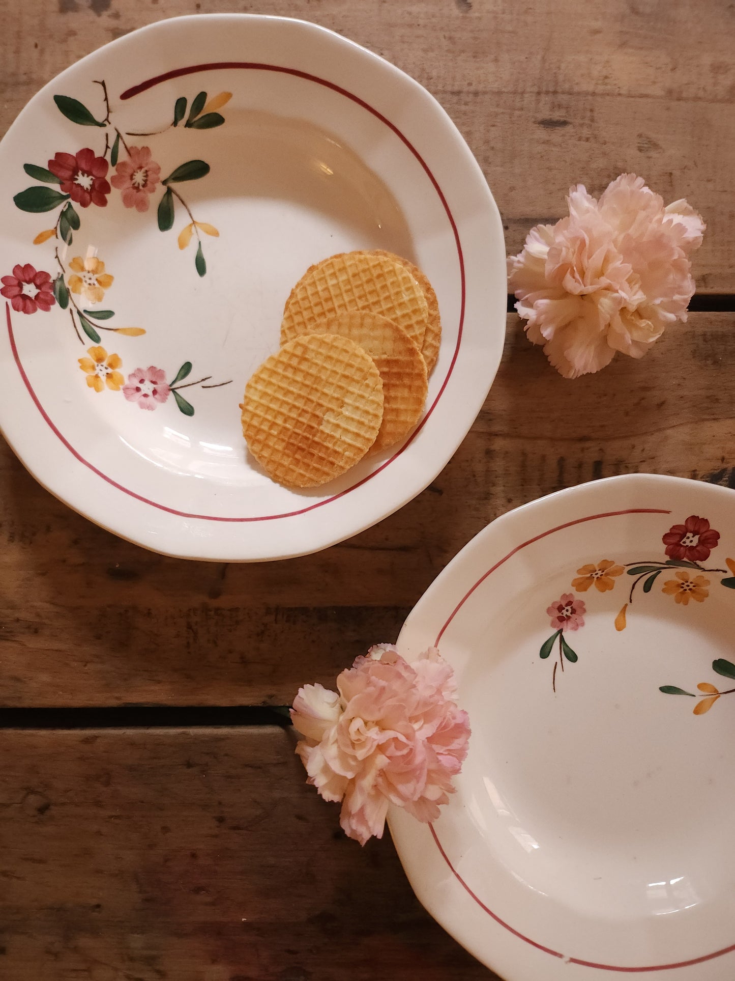 Assiettes creuses en céramique Sarreguemines lot de deux   Patine