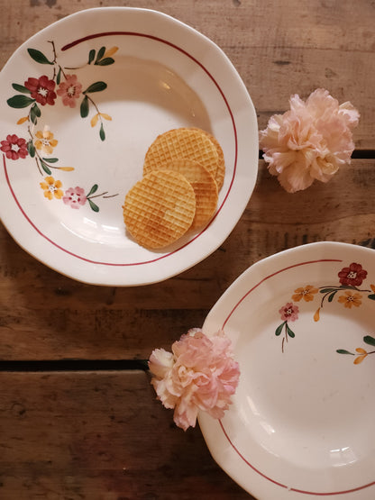 Assiettes creuses en céramique Sarreguemines lot de deux   Patine