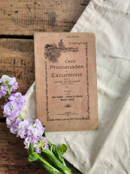 Guide promenade et excursions MUNSTER   Patine
