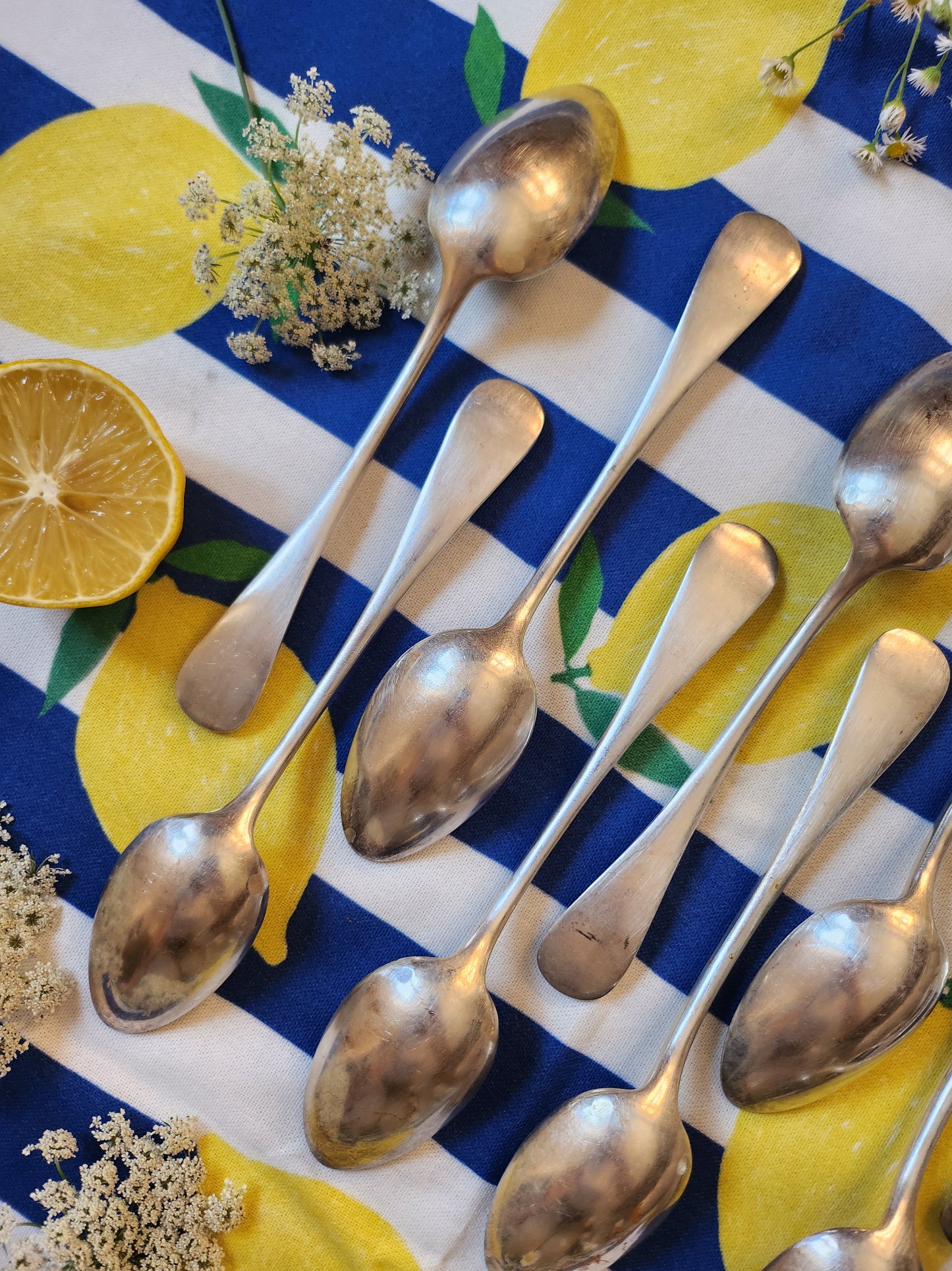 Cuillère à soupe en argent lot de 12   Patine
