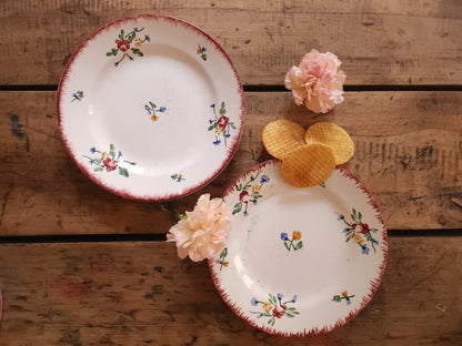 Assiettes plates en céramique Sarreguemines lot de 2   Patine