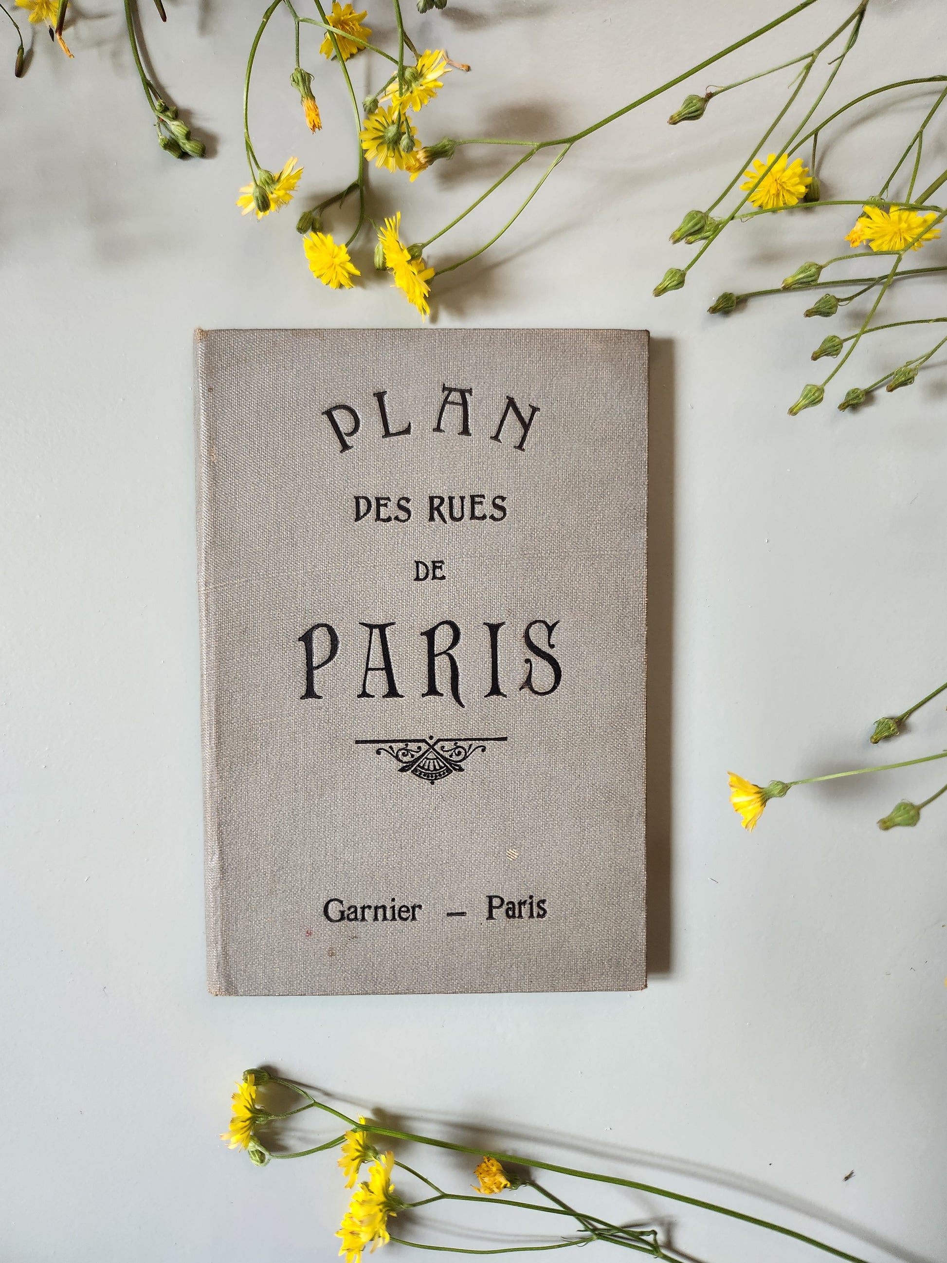 Plan des rues de Paris   Patine