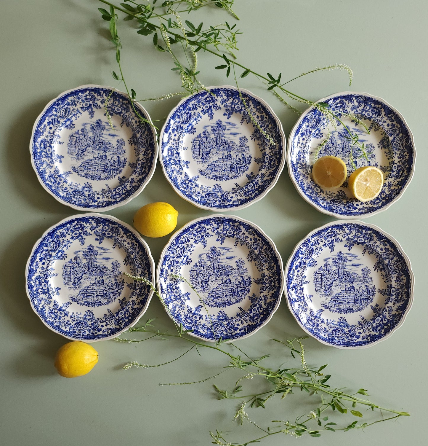 Assiettes plates en céramique Lunéville style anglais lot de 6   Patine