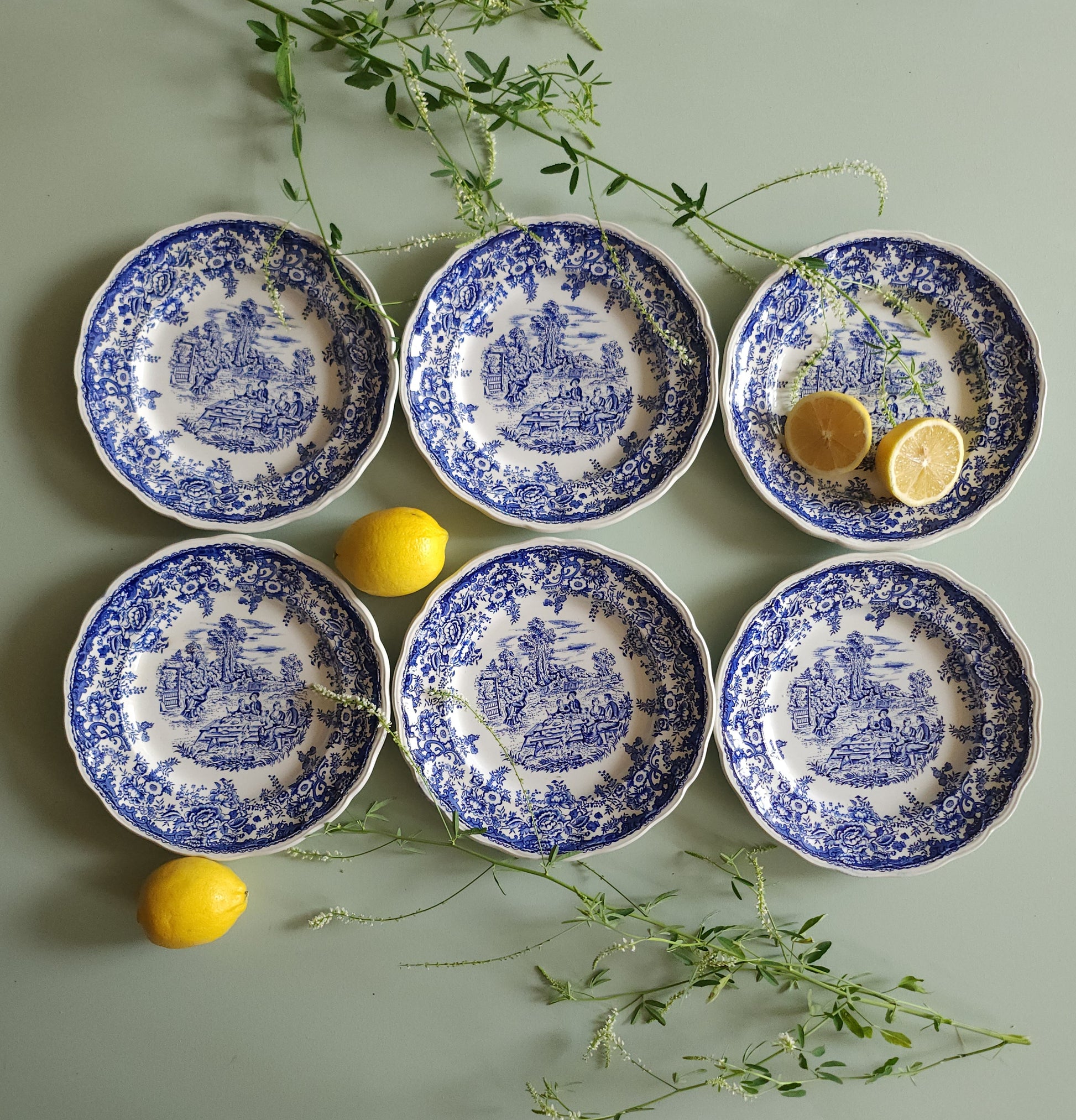 Assiettes plates en céramique Lunéville style anglais lot de 6   Patine