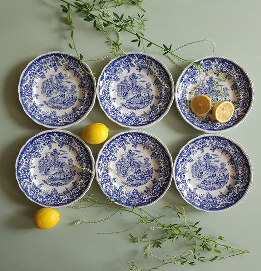Assiettes plates en céramique Lunéville style anglais lot de 6   Patine
