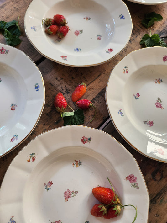 Assiettes fleuries Sarreguemines -lot de 6