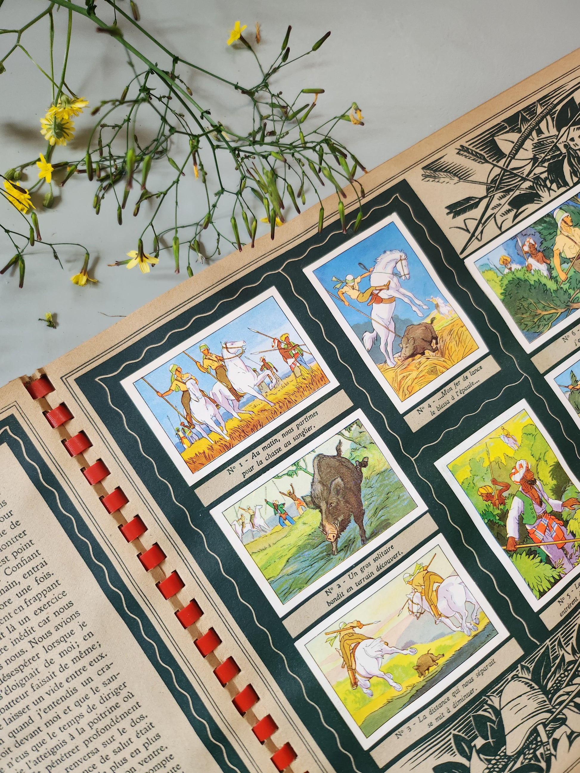 Livre pour enfants « La vie des scouts » par Suchard   Patine