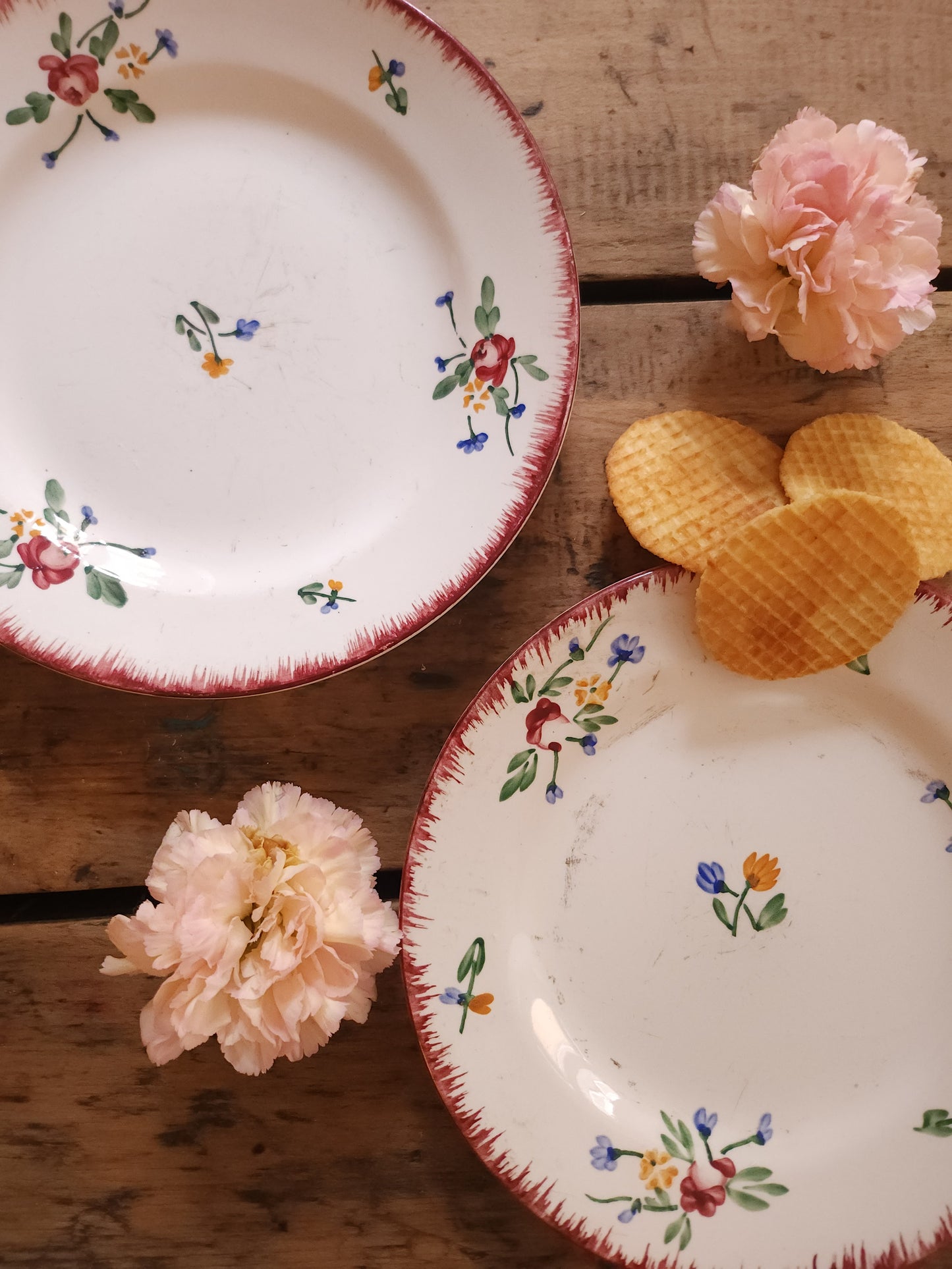 Assiettes plates en céramique Sarreguemines lot de 2   Patine