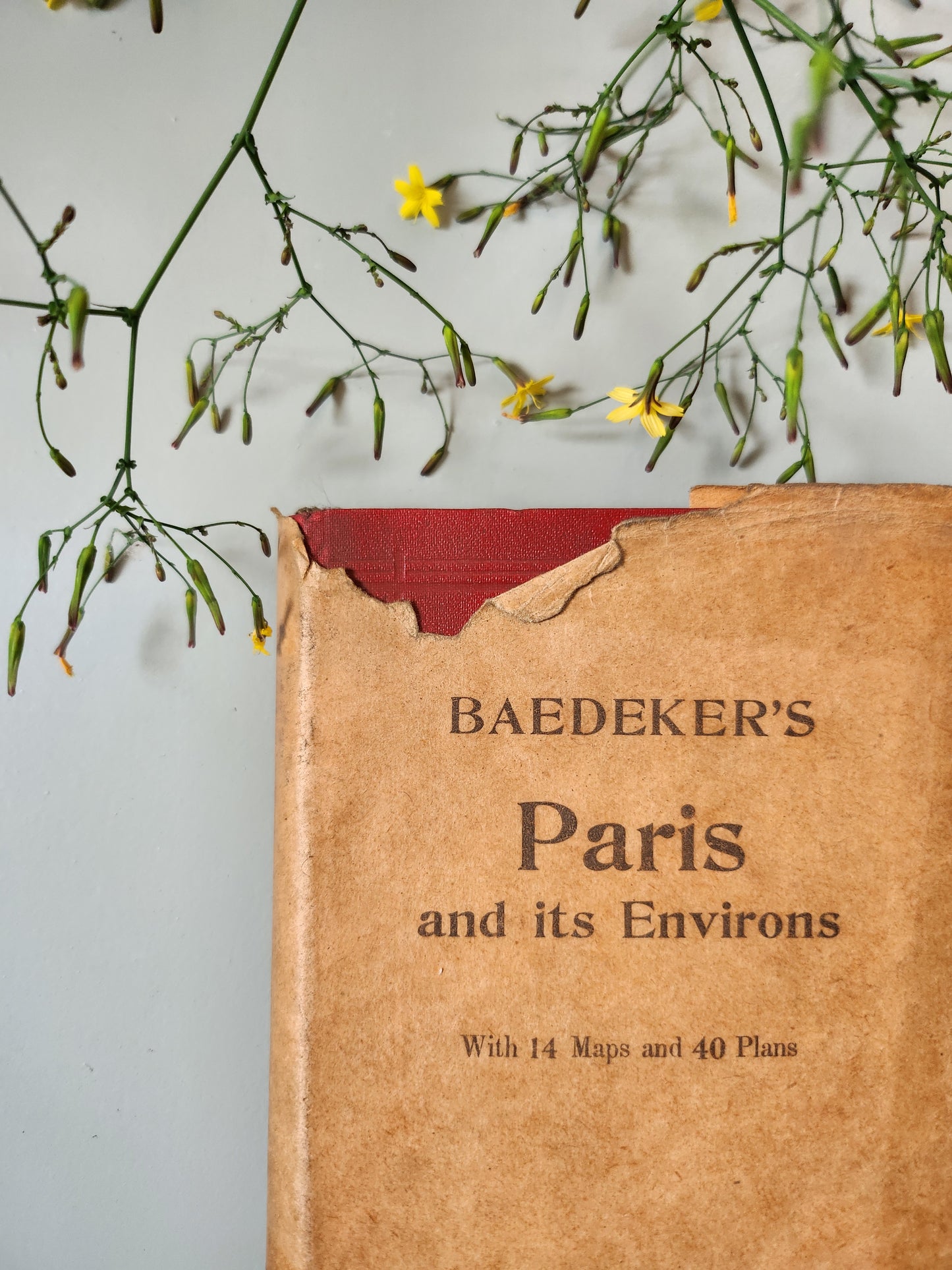 Guide Baedeker’s "Paris and its Environs"   Patine