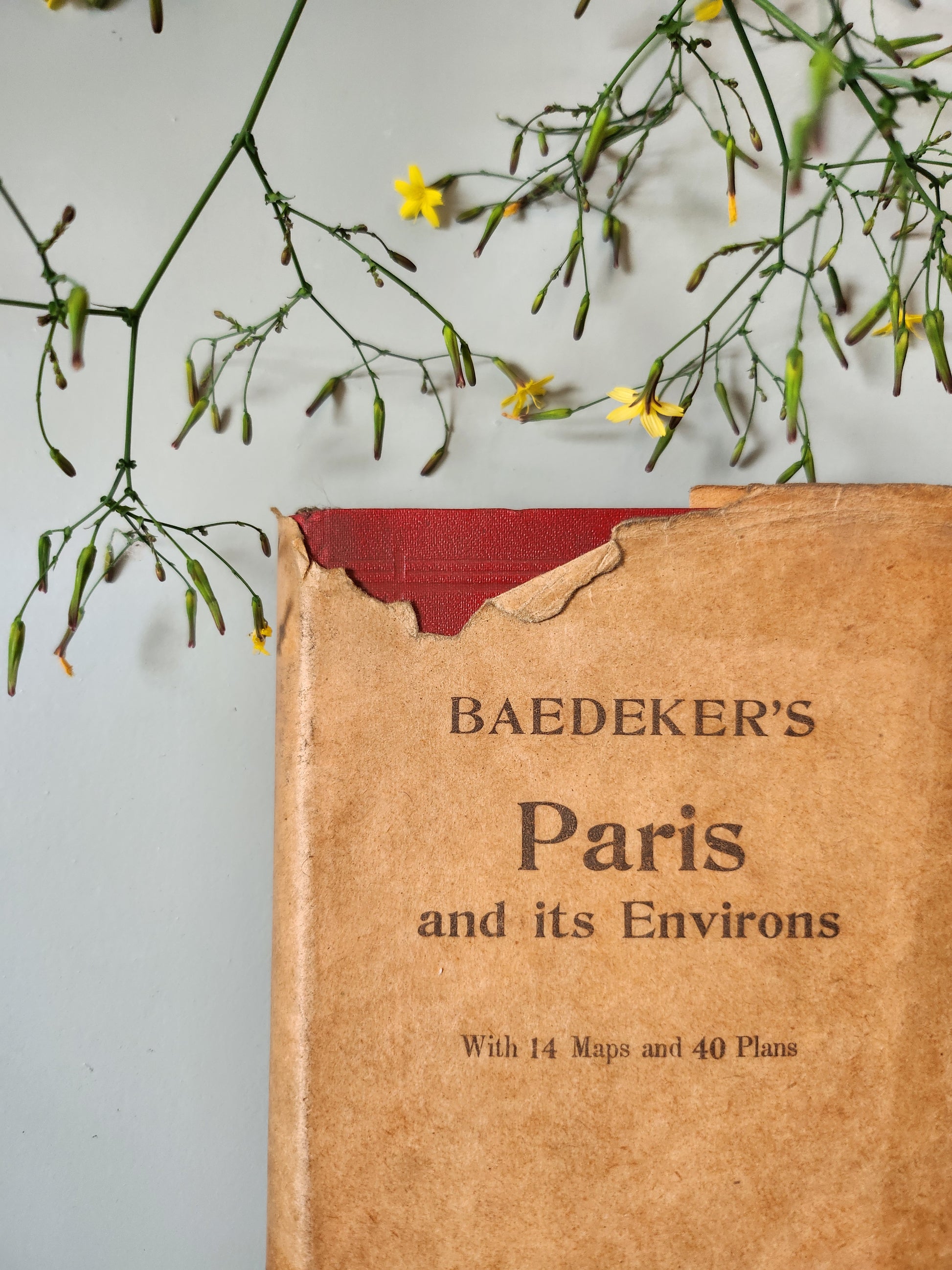 Guide Baedeker’s "Paris and its Environs"   Patine