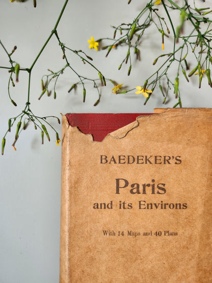 Guide Baedeker’s "Paris and its Environs"   Patine