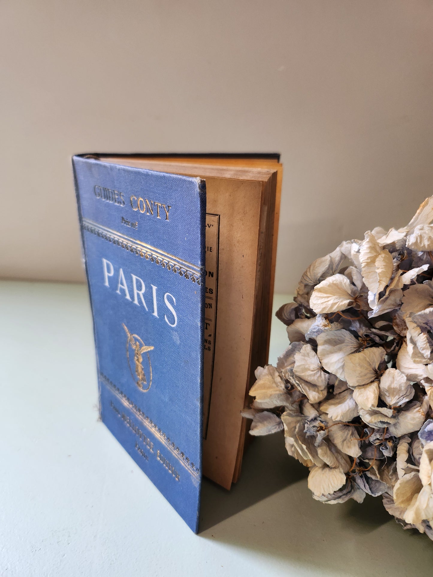 Guide Conty Paris 1847