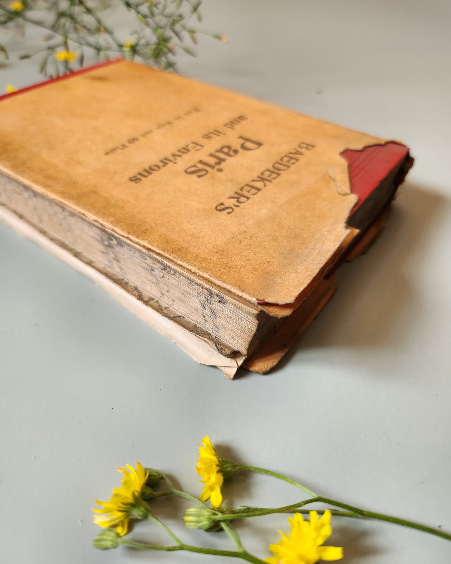 Guide Baedeker’s "Paris and its Environs"   Patine