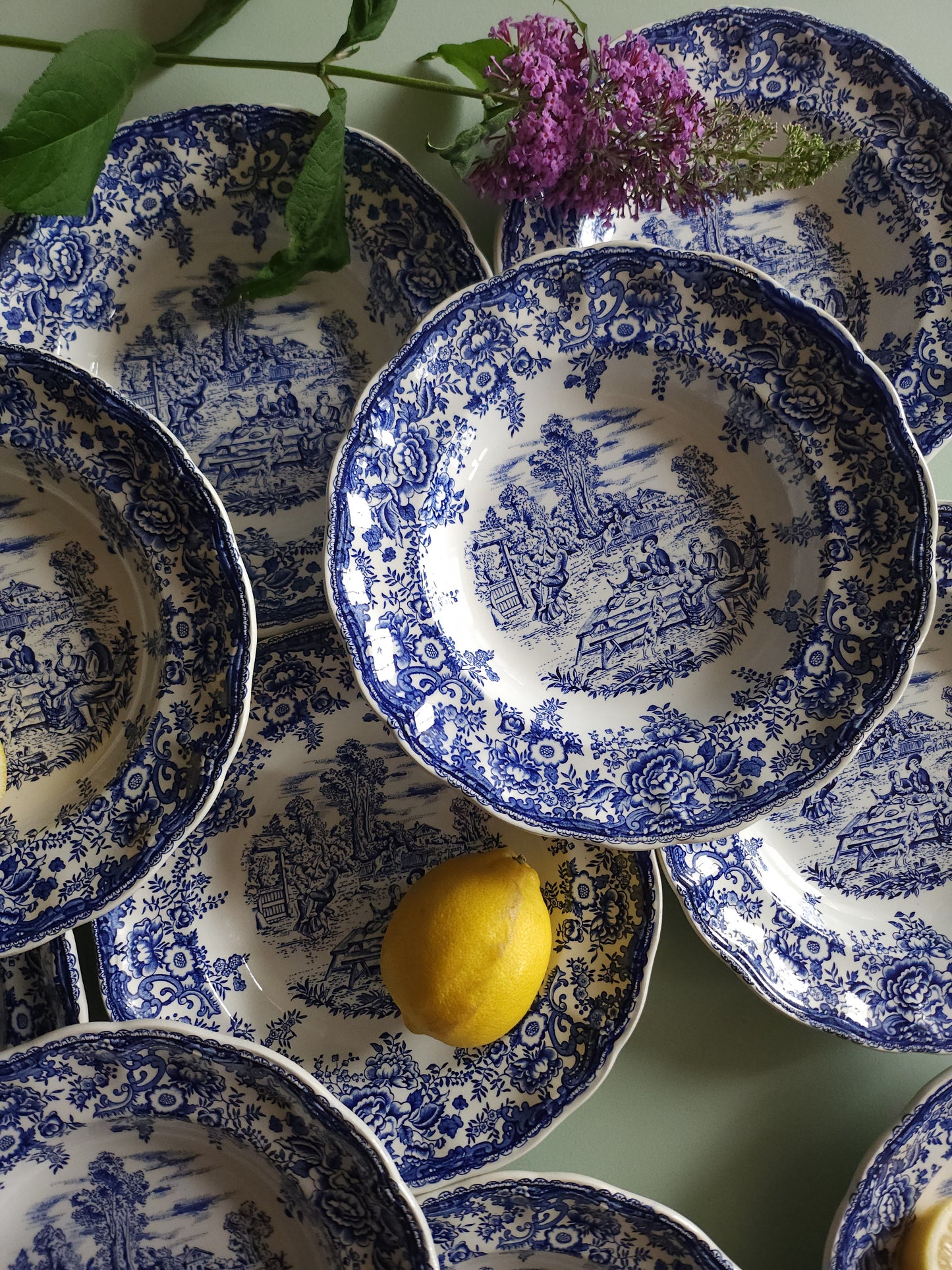 Assiettes creuses en céramique Lunéville style anglais lot de 10   Patine