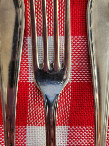 Fourchette en inox lot de 12  Vaisselle Patine