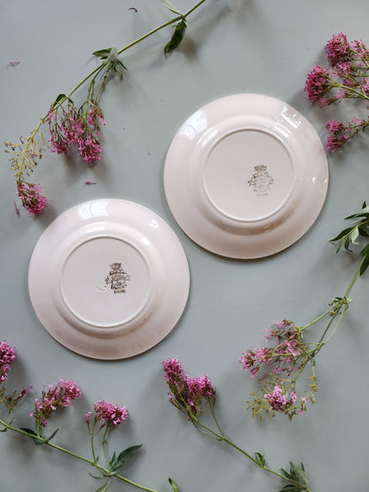 Assiettes creuses fleuries Sarreguemines lot de 2   Patine