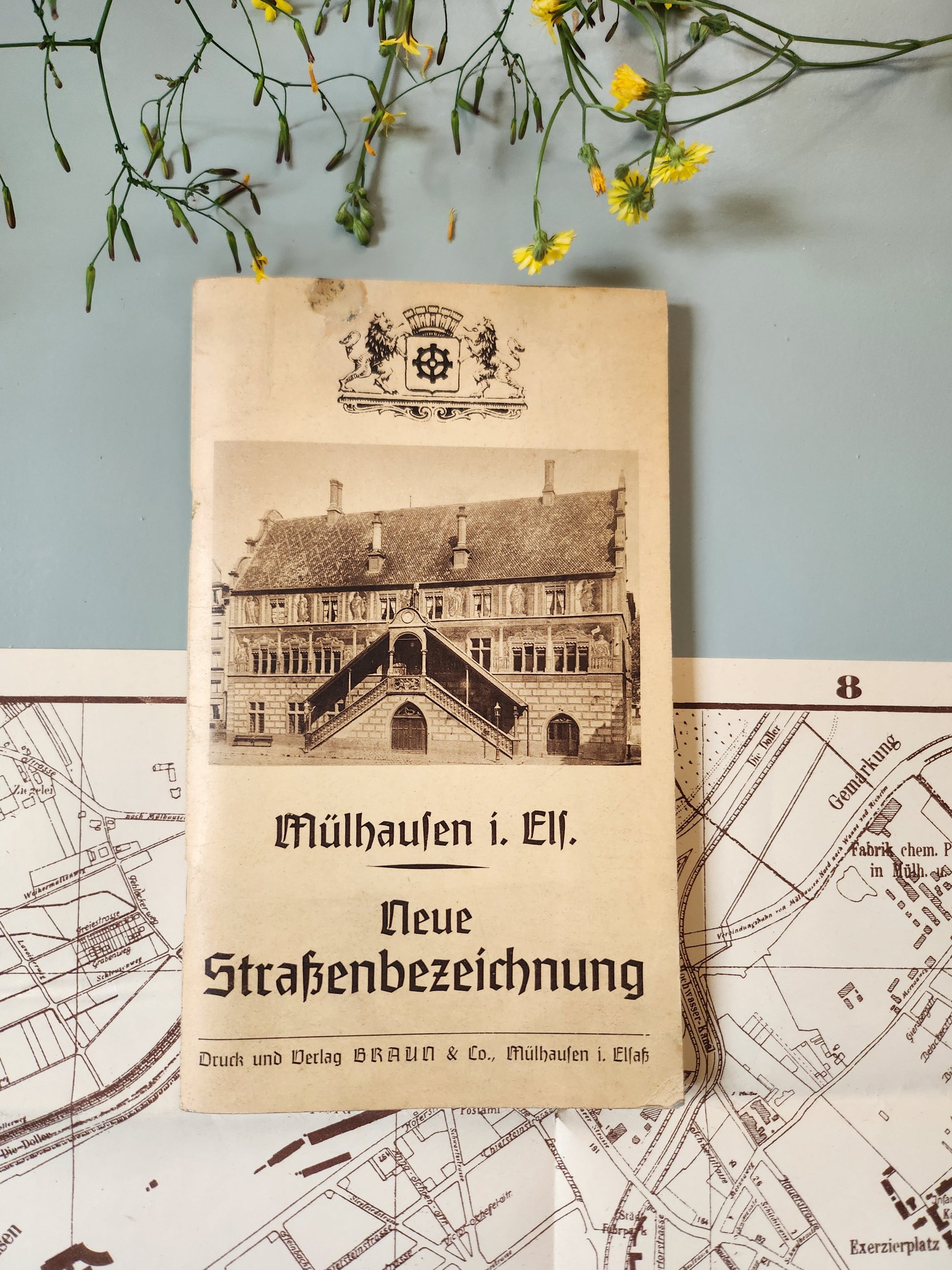 Ancien livret Mulhouse Alsace allemande – Neue Straßenbezeichnung – Guide des rues – vers 1900   Patine