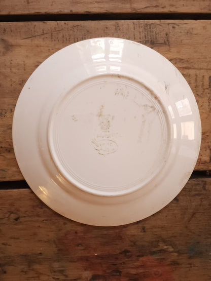 Assiettes plates en céramique Didier Sarreguemines lot de 2  Vaisselle Patine