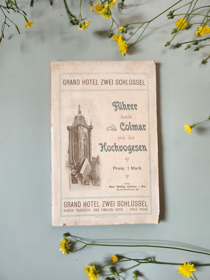 Guide de Colmar et des Hautes-Vosges, début XXe siècle   Patine