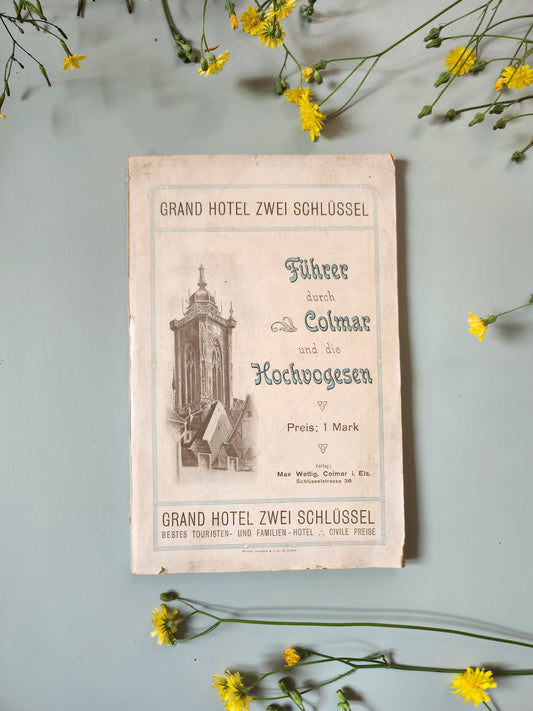 Guide de Colmar et des Hautes-Vosges, début XXe siècle   Patine