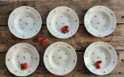 Assiettes fleuries Sarreguemines -lot de 6  Vaisselle Patine
