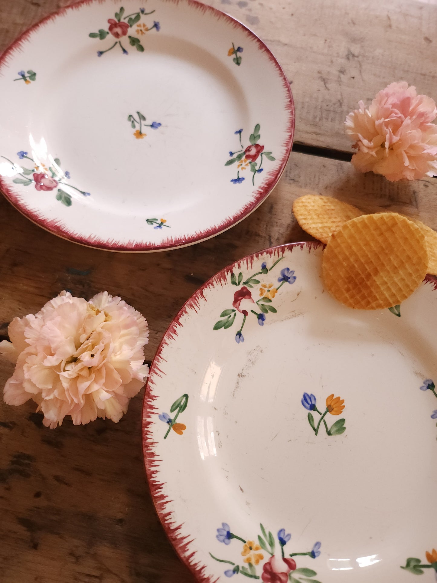 Assiettes plates en céramique Sarreguemines lot de 2   Patine