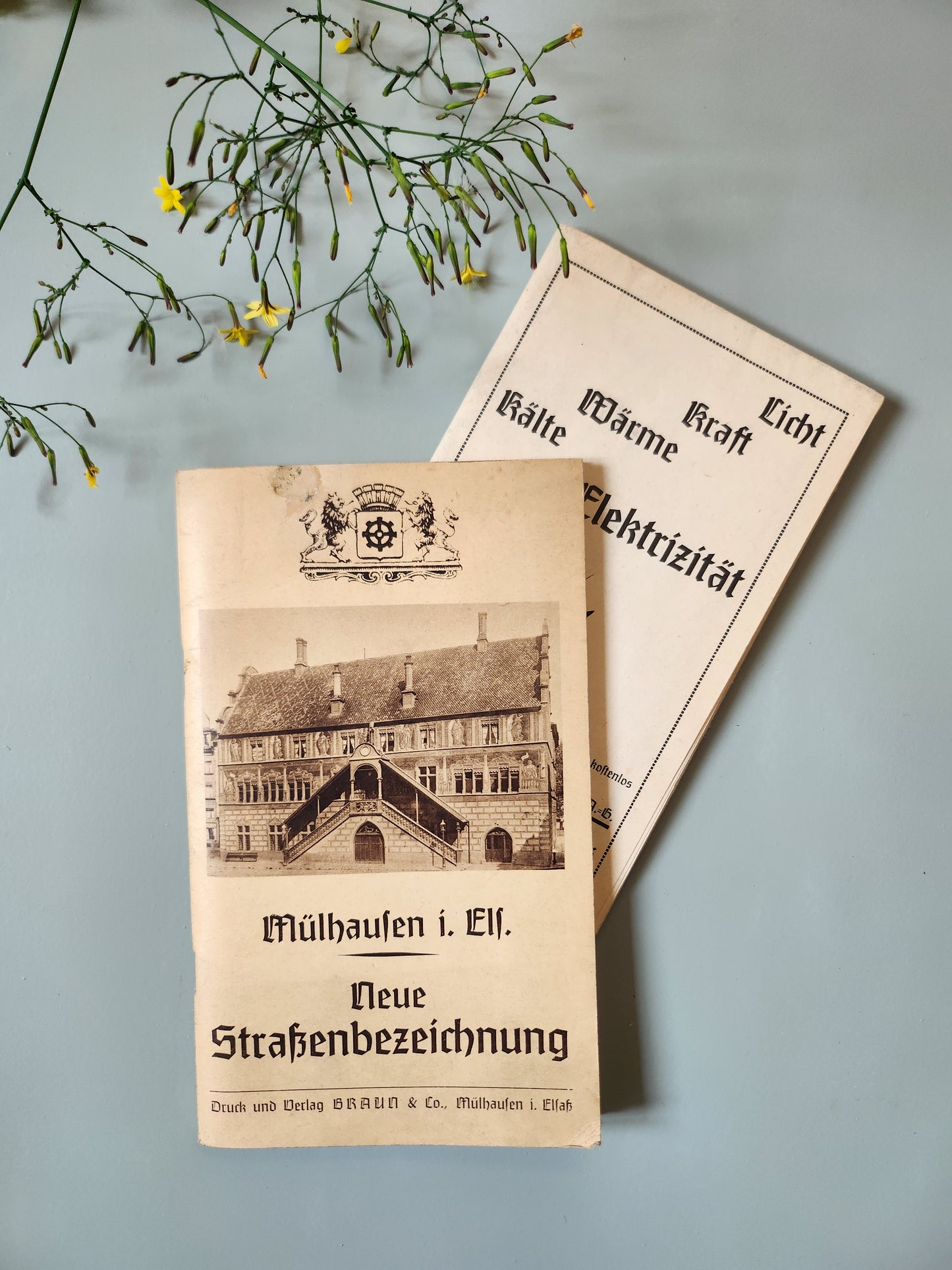 Ancien livret Mulhouse Alsace allemande – Neue Straßenbezeichnung – Guide des rues – vers 1900   Patine