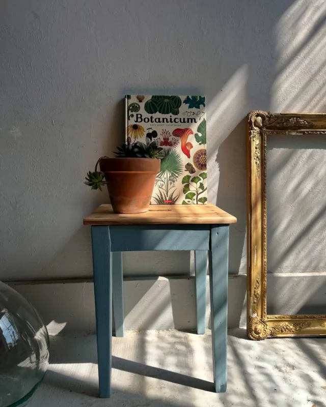⎰🔒R E S E R V E⎱ 
Petit tabouret, grande transformation !
Un bon ponçage, une touche de bleu, un peu de vernis… et le voilà reparti pour une nouvelle vie.
Je suis toujours aussi fan du contraste entre le bois brut et la peinture douce.
Il ira aussi bien dans une entrée qu’en table de chevet ou support pour une plante.
Team récup, toujours !
À retrouver sur notre bouquine en ligne. Le lien est dans la bio. 

Et vous, vous le mettriez où chez vous ?

#meublerénové #décoauthentique #avantaprès #faitmainavecamour #boisbrut #slowdéco #teamrécup #patinéavecamour #relookingmeuble