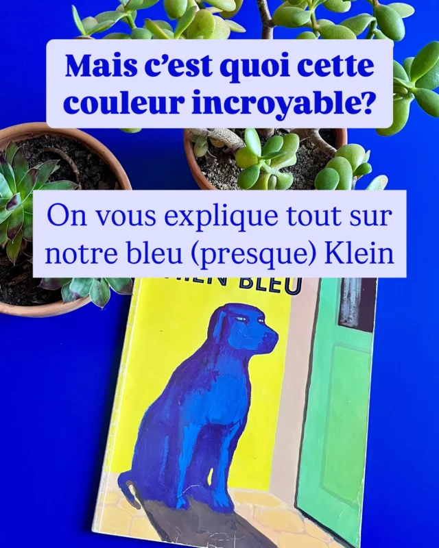 Ce n’est pas un vrai bleu Klein… mais presque !
Le bleu Klein (IKB) est une couleur protégée, imaginée par Yves Klein en 1956.
Alors, pour recréer cette intensité hypnotique, on a sélectionné le RAL le plus proche et demandé à notre fournisseur de peindre notre table avec.
Un bleu profond, audacieux, qui donne une seconde vie à cette table vintage.
💙 Qui aurait cru qu’un simple bleu pouvait raconter autant d’histoires ?

Ce bleu vous obsède ?
💬 Commente “bleu” et on vous envoie le RAL qu’on a utilisé pour recréer cette teinte hypnotique !
.
.
.
.
#bleuklein #bleuklein💙 #peinturebleue #meublebleu #meublerenové #diy #secondeviedesmeubles #atelierpatine #ameublement